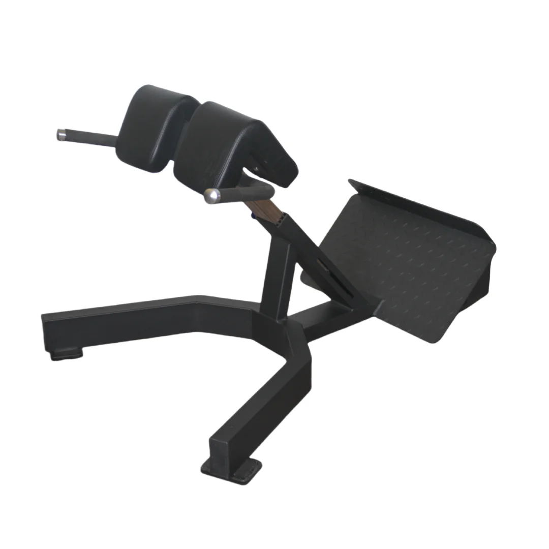 Home Gym Price - 공장가 로만체어 백 익스텐션 벤치 근력