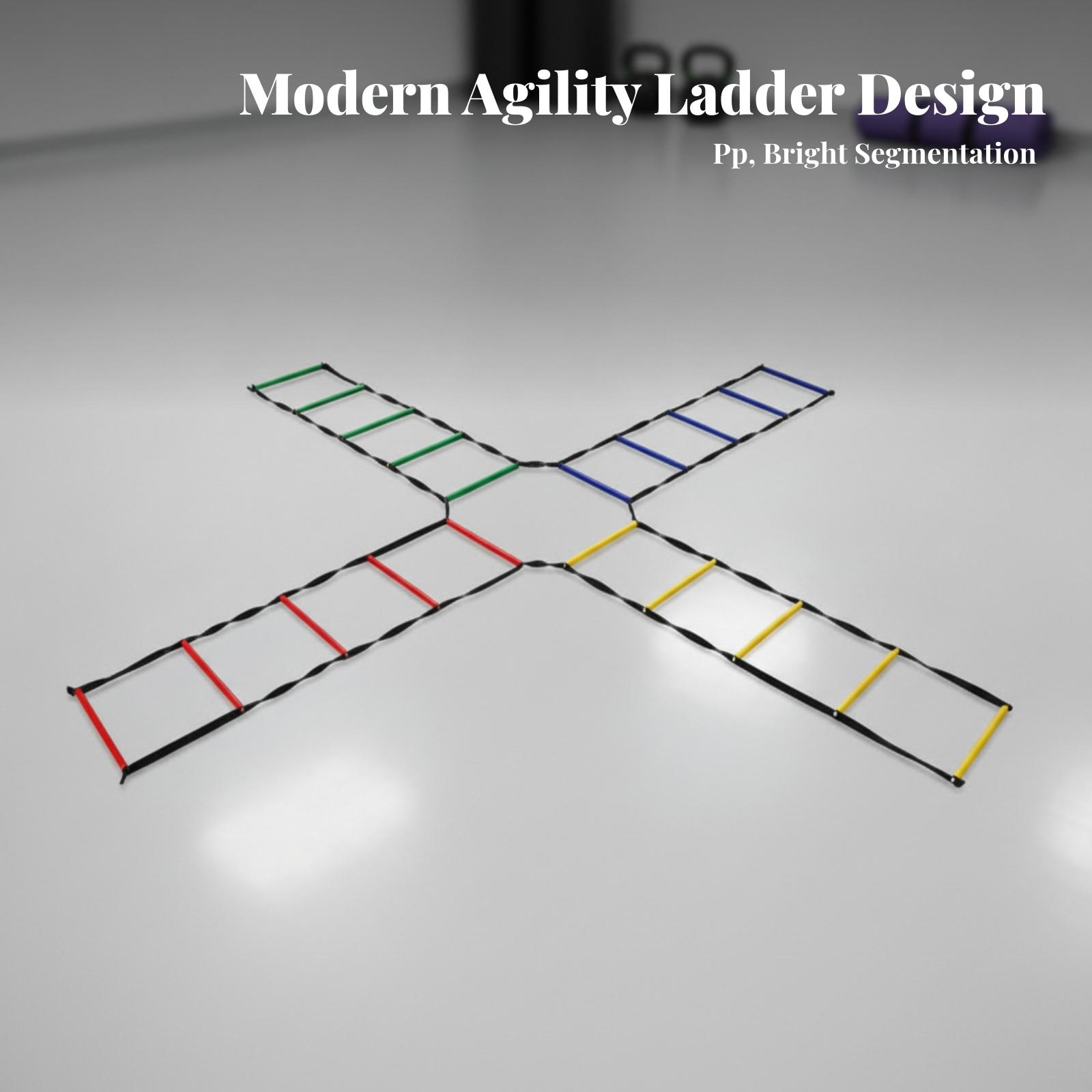 축구 훈련용 휴대용 스피드 래더, 금속 리벳으로 견고한 - Agility Ladder Speed 리뷰 및 가격