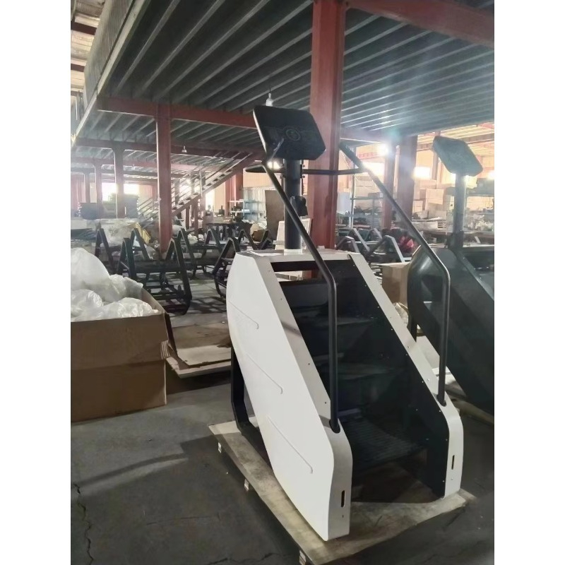 공장 제조 계단 오르기 운동기구 가정용 금속 스테어 마 - Home Gym Price 리뷰 및 가격