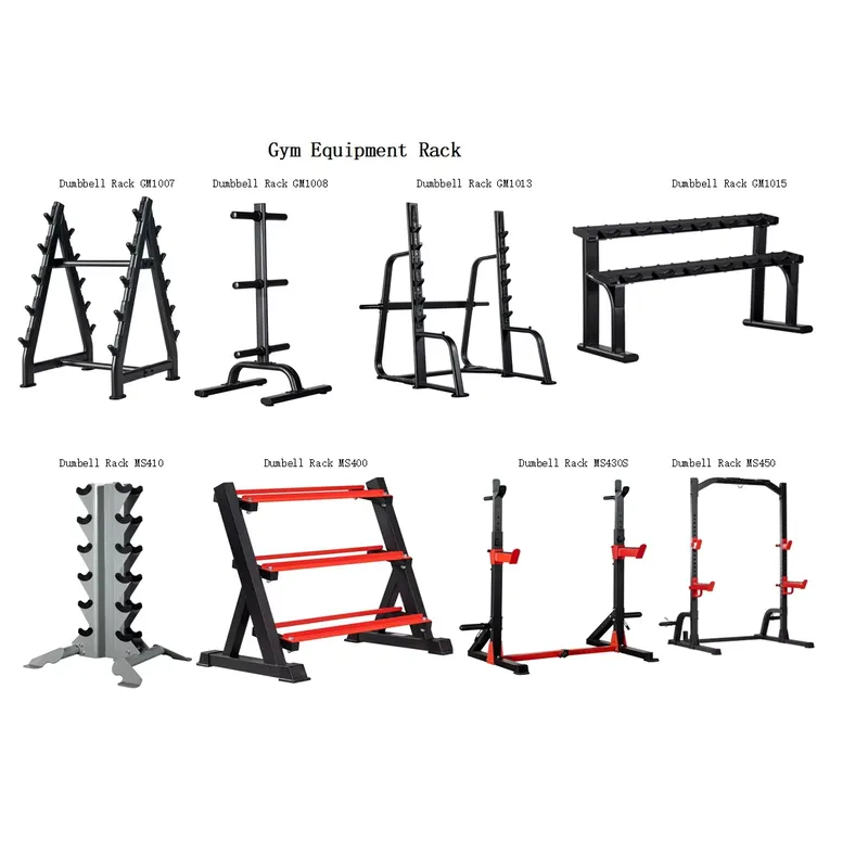 인기 있는 다기능 상업용 피트니스 장비 전동 하프 스쿼 - Home Gym Half Rack 리뷰 및 가격