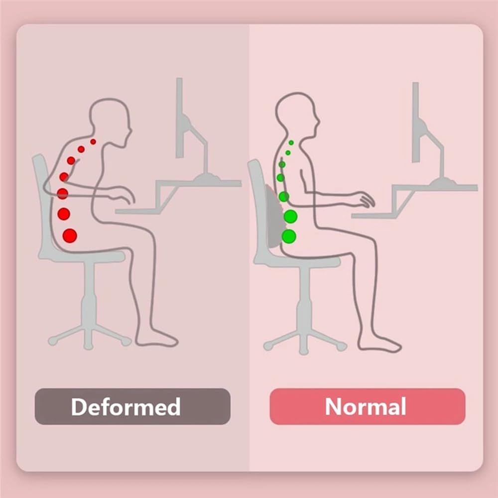 요가 등 트레이너 요추 지지 자세 교정 베개 쿠션 쉐이 - Home Gym Hack 리뷰 및 가격